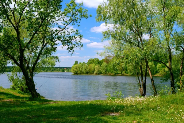 Lago y árboles verdes — Foto de Stock