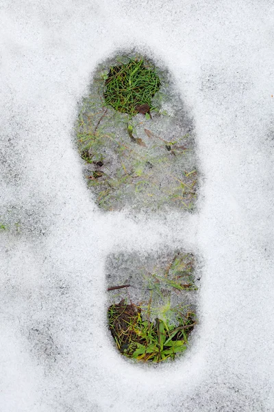 Footprint and green grass under snow — Stock Photo, Image