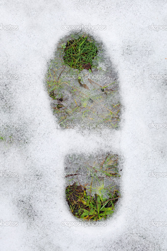 footprint and green grass under snow
