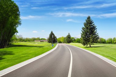 Boş sphalt yol ve yeşil çam ağacı