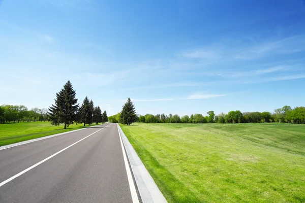 Estrada de asfalto e campo gramado — Fotografia de Stock