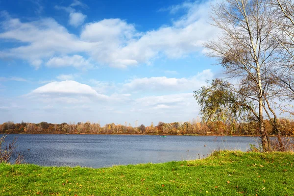 Göl ve yeşil çim ile peyzaj — Stok fotoğraf