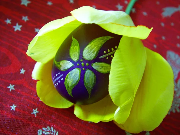 Huevo de Pascua — Foto de Stock