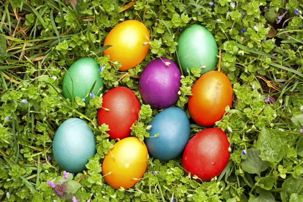 Uova di Pasqua — Foto Stock