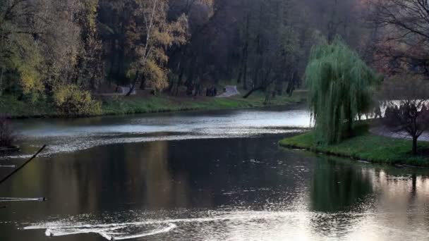 parc et étang en automne 