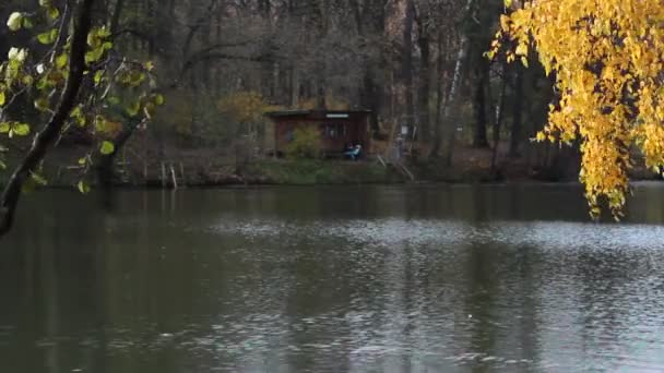 Automne sur le lac