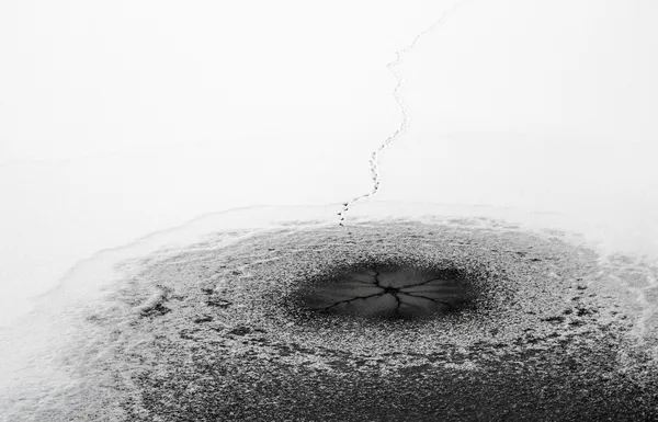 Duck footprints on the surface of a frozen lake — Stock Photo, Image