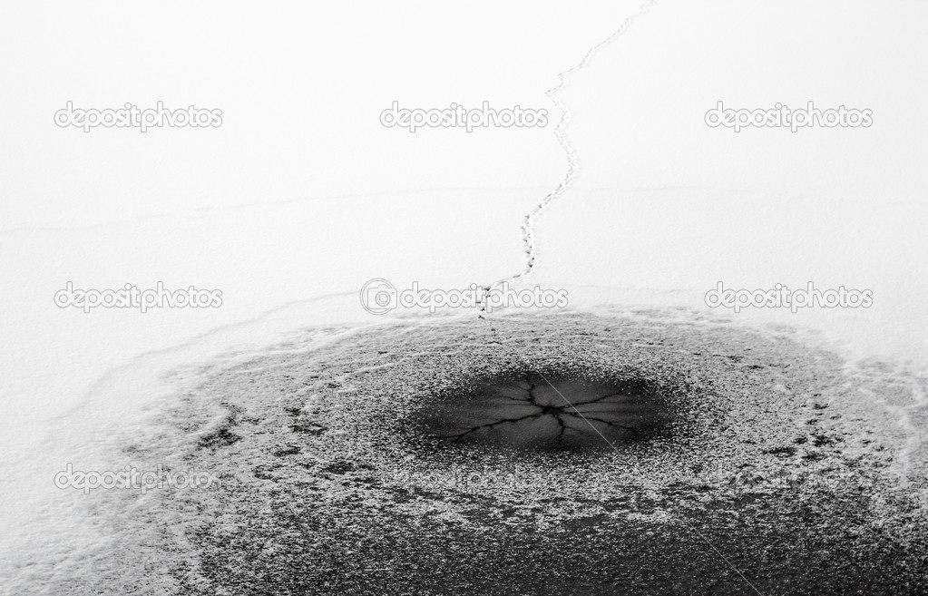 Duck footprints on the surface of a frozen lake