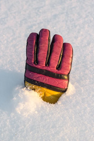 Ski glove on white snow — Stock Photo, Image