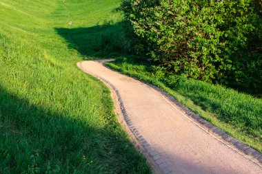 kırmızı yeşil park yolundaki