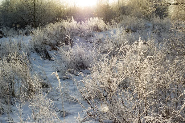 Paysage hivernal enneigé — Photo