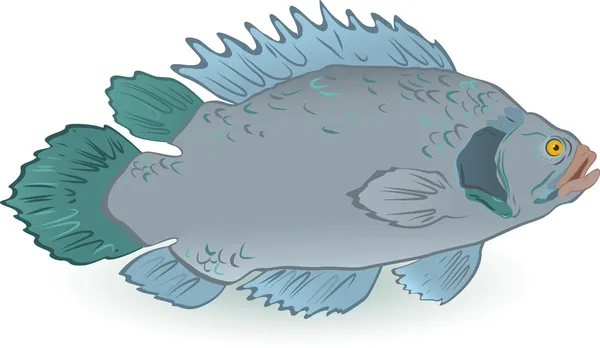 白で隔離される魚 — ストックベクタ