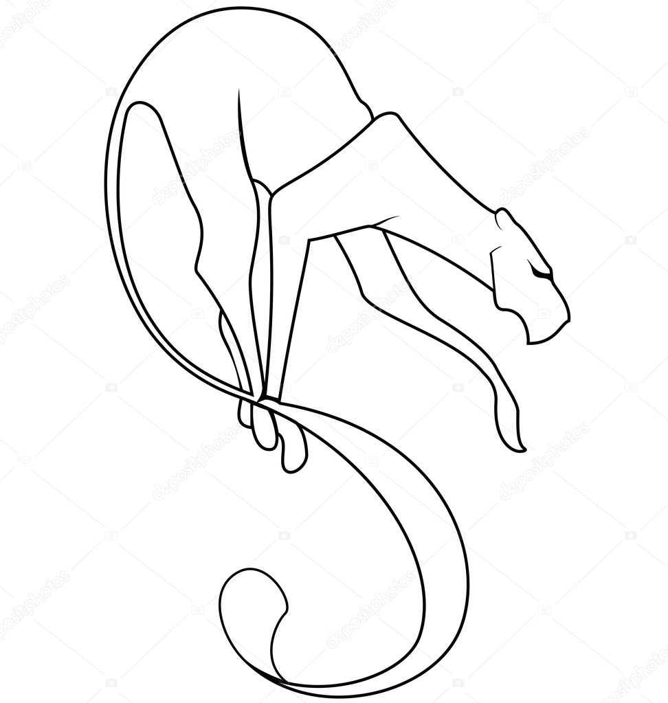 Black and white panther tail vector