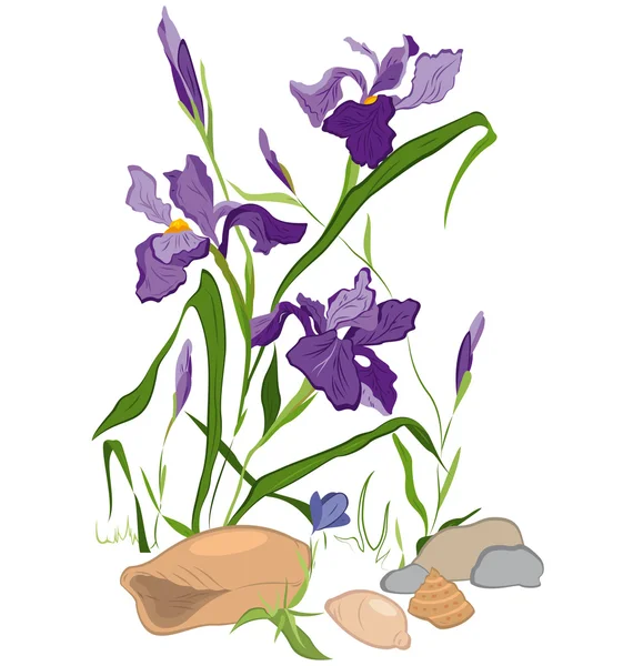Flor de iris dibujada a mano — Vector de stock