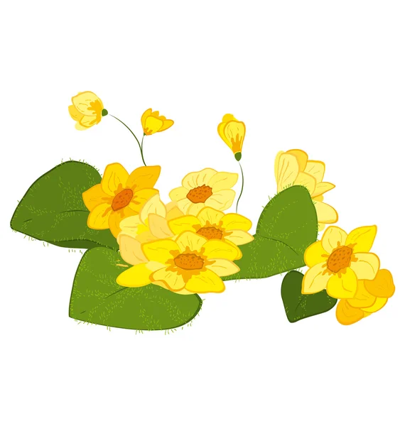 Hand drawn yellow blooms — Stock Vector