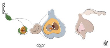 Soyut el çizimi vektör sanatsal logo seti beyaza izole edildi. Çizgi sanatsal çizim ve doku. Retro düz renkler organik doğal Eko gıda tasarımı. Organik sağlıklı vejetaryen karalaması..