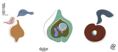 Soyut el çizimi vektör sanatsal logo seti beyaza izole edildi. Çizgi sanatsal çizim ve doku. Retro düz renkler organik doğal Eko gıda tasarımı. Organik sağlıklı vejetaryen karalaması..