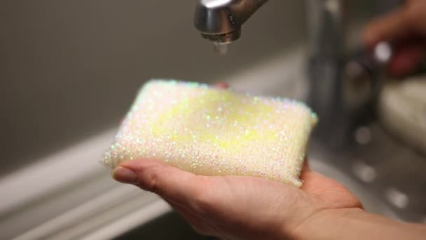 Bulaşık Sabunlu Sünger Yakın Çekim — Stok video