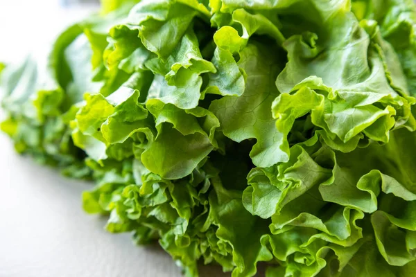 Fresh Lettuce Close White Background — Stock Photo, Image