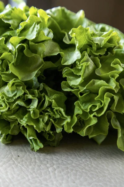 Fresh Lettuce Close White Background — Stock Photo, Image