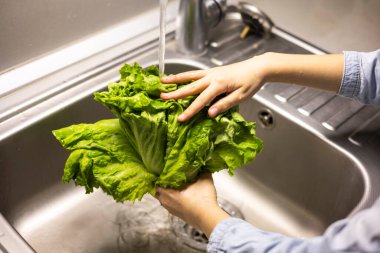Çocukların elleri mutfakta yeşil marul yapraklarını yıkıyor.
