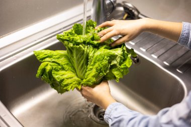 Çocukların elleri mutfakta yeşil marul yapraklarını yıkıyor.