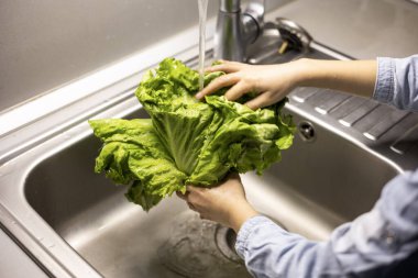Çocukların elleri mutfakta yeşil marul yapraklarını yıkıyor.