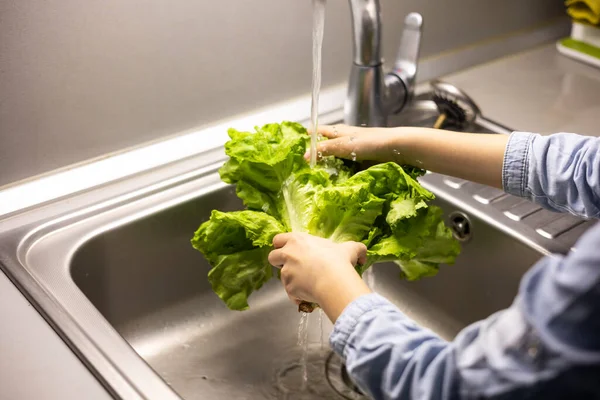 Niños Lavándose Las Manos Hojas Lechuga Verde Cocina —  Fotos de Stock