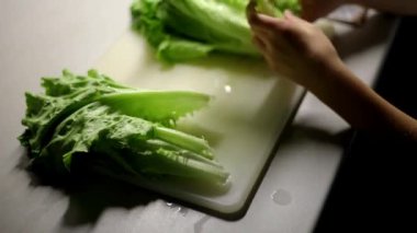 Yeşil marul yaprakları. Beyaz arkaplanda marul yaprakları.