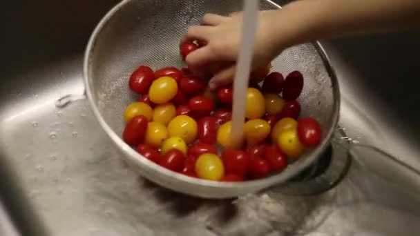 Ungar Handtvätta Körsbärstomater Köket — Stockvideo