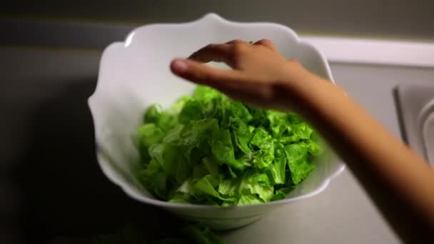 绿色的莴苣叶子 莴苣放在一个碗里 — 图库视频影像