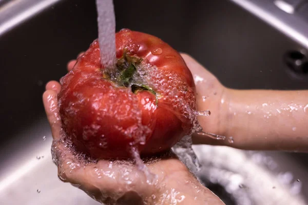 Niño Manos Lavando Tomates Fregadero Cocina —  Fotos de Stock
