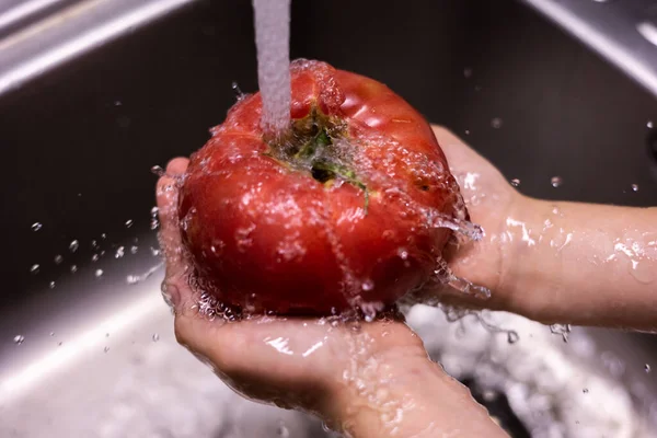 Niño Manos Lavando Tomates Fregadero Cocina — Foto de Stock