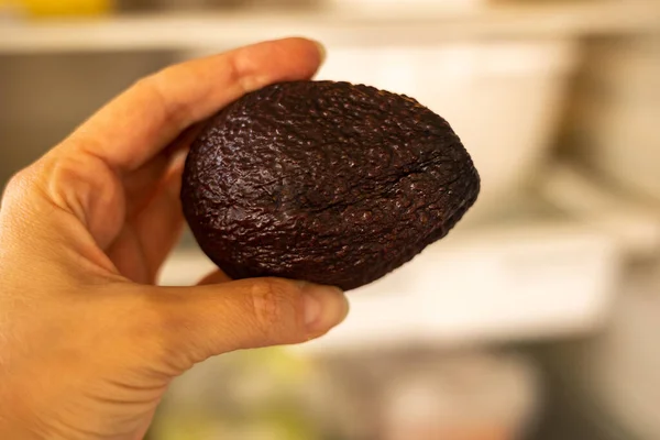 Close Woman Hand Holding Avocado Market — 图库照片