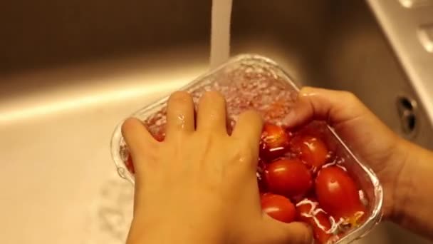 Kid Washing Cherry Tomatoes Kitchen Sink — Vídeo de Stock