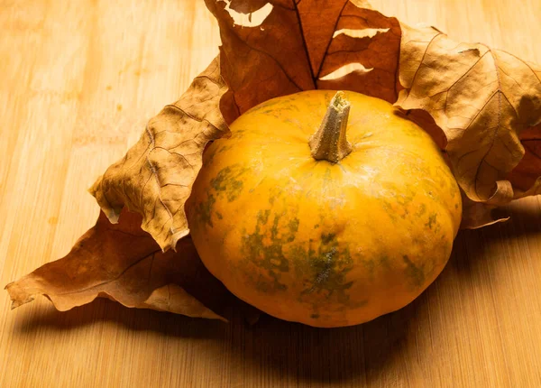 Verse Pompoenen Houten Achtergrond — Stockfoto