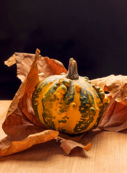 Verse Pompoenen Houten Achtergrond — Stockfoto