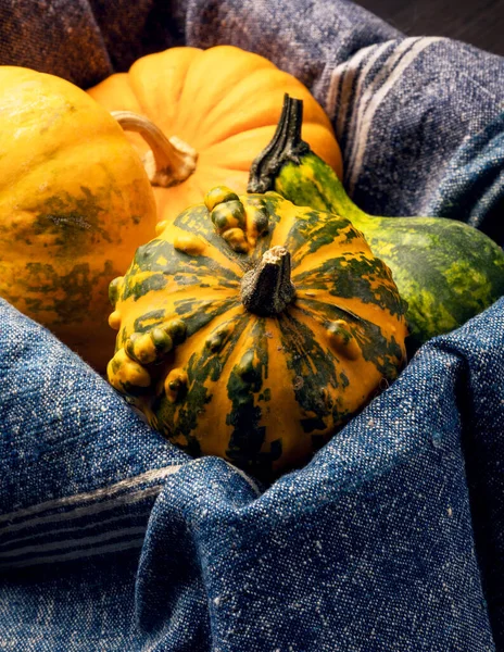 Fresh Pumpkins Wooden Background — Stock Photo, Image