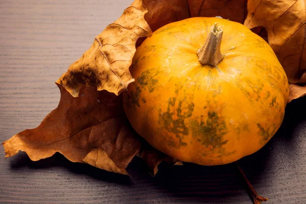 Verse Pompoenen Houten Achtergrond — Stockfoto