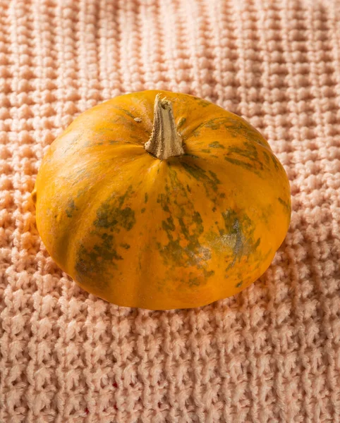 Pumpkin Knitted Background — Stock Photo, Image
