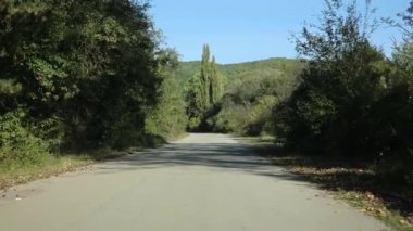 Ormandaki eski yolda yolculuk konsepti