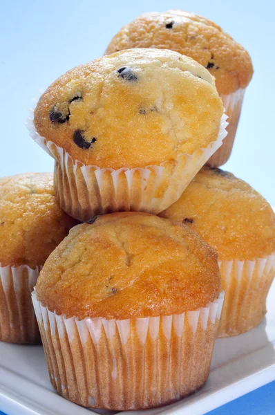 Muffins aux pépites de chocolat — Photo