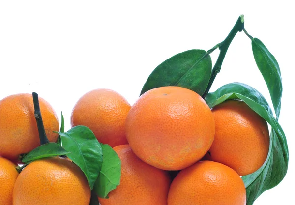 Tangerines — Stock Photo, Image