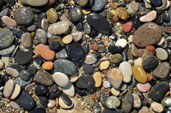 조약돌 해변 — 스톡 사진