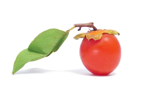 Frutas de caqui — Fotografia de Stock