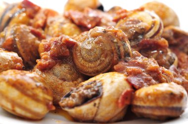 yağda pişmiş İspanyol salyangoz