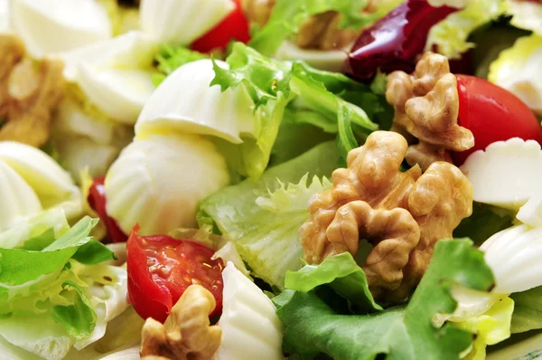 Plate with salad — Stock Photo, Image