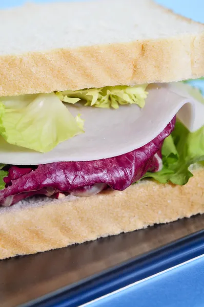 Zelenina a krůtí sendvič — Stock fotografie
