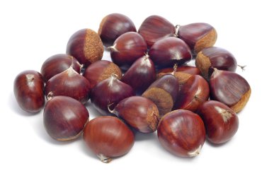 kestane