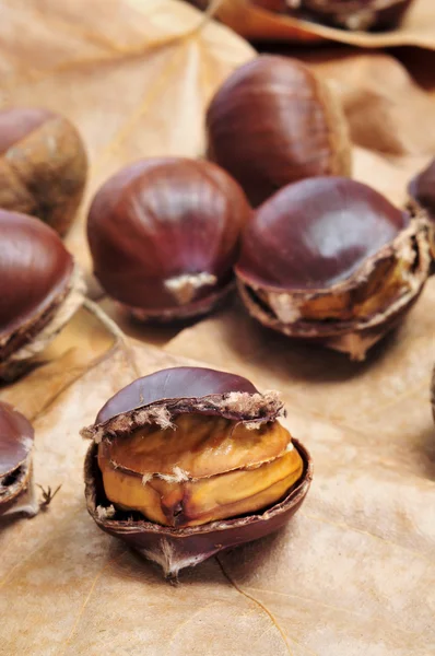 Roasted chestnuts — Stock Photo, Image